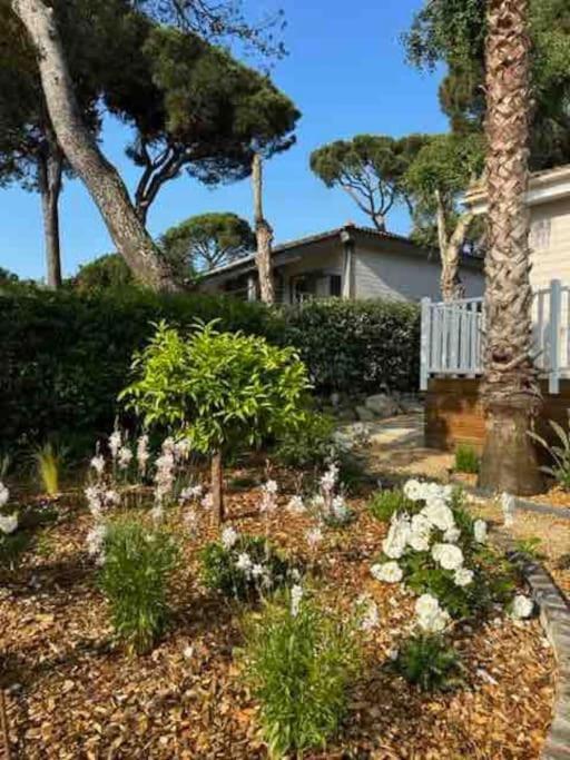 Chalet Californien, Piscine Privee, Plage 5 Mn ! Gassin Exterior foto