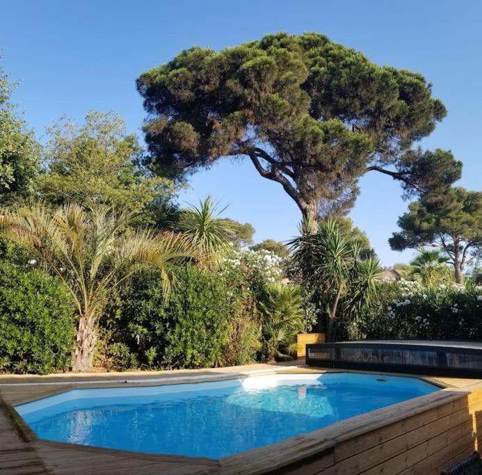 Chalet Californien, Piscine Privee, Plage 5 Mn ! Gassin Exterior foto